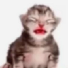 Gppy