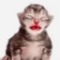 Gppy