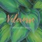Velerosse