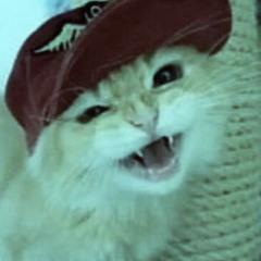 aaaaaaaaskitskitskit