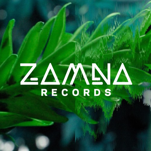 Zamna Records’s avatar