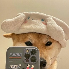 chipstar☆