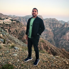 Amin Abdelnaser