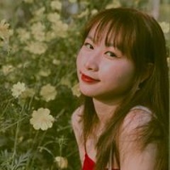 Vy Khanh