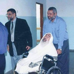 تسنيم🌱