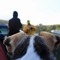billzy0