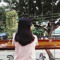 Mỹ :)