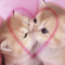 leofairy<3