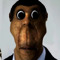 Igor wwa