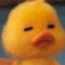 duckboi