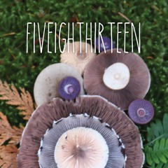 fiveighthirteen