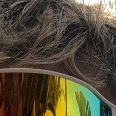 MoustacheChap