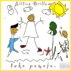 Sibling Brilly The Brilliant Sibling