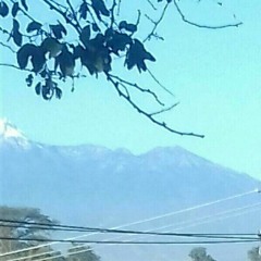 Jobany Fuentes Morales