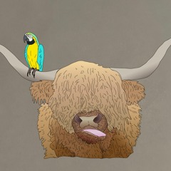 Parrot Ox