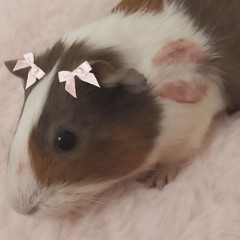 Diana 🎀