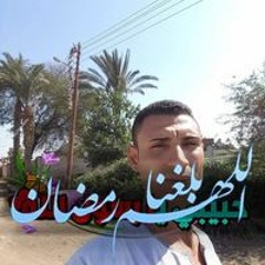 اسامه محمد سعيد هلول