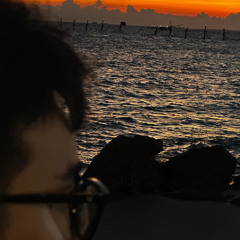 Tan Huy