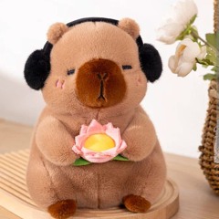 🖤Capy 💖 Capy 💖 Capybara 🖤