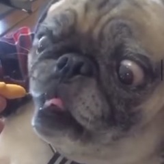 DickCheaz