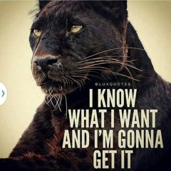 master mind