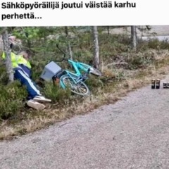 pulun nussima