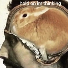 gospodaidami