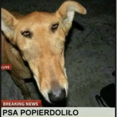 Аналитек титек