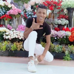 Amer Mahmoud