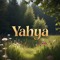 Yahia Hany
