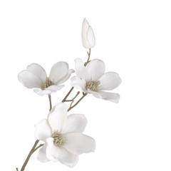 ‎‎ ‎ ‎ ‎ ‎‎‎ ‎ ‎ ‎ ‎‎‎ ‎ ‎ ‎ ‎‎‎ ‎ ‎ ‎ ‎‎‎ ‎ ‎ ‎ ‎