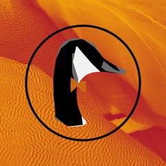 Wildgoose Audio
