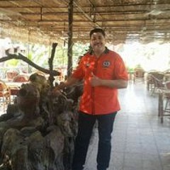 محمود الغمري