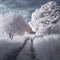 Paint_VN