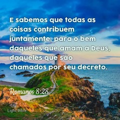 Rafael Trindade