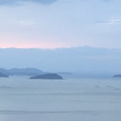 maguro