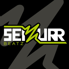 Seizurr Beatz