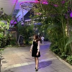 Nguyễn Phương Thanh