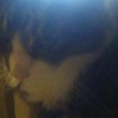 cat's are the best 4832