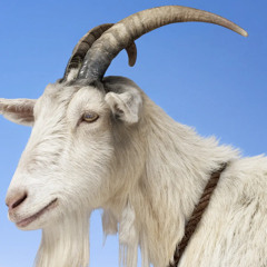 mr billygoat