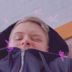 maggis