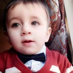 عمر العبيدي