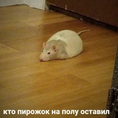 пиво