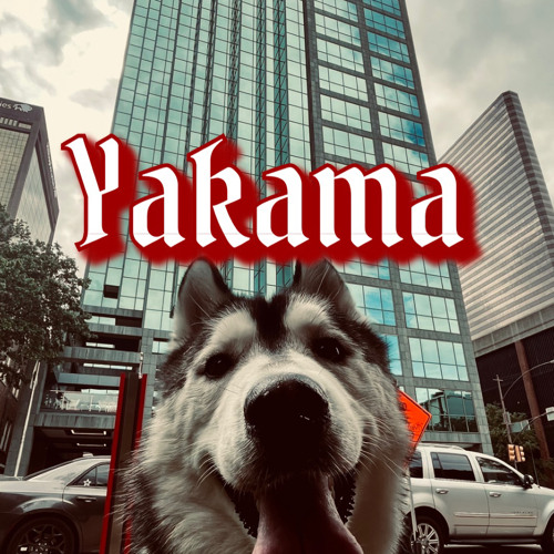 YAKAMA’s avatar