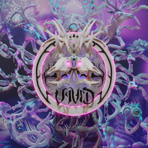 Vivid Records’s avatar