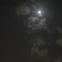 H7