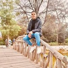 Elsayed Hawas