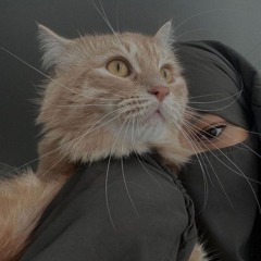 🌍🖇بسكوتة🖇🌍