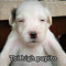 Estefierrito