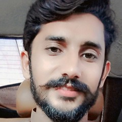 Mudassar wadhal